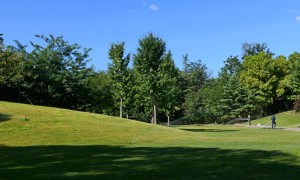 碳汇门户网 – 注册