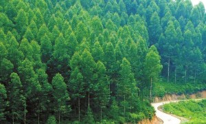 碳汇门户网 – 注册