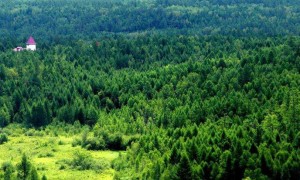 碳汇门户网 – 登录