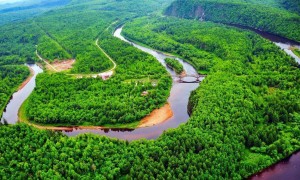 中国林业与赣州市合作开发碳汇项目